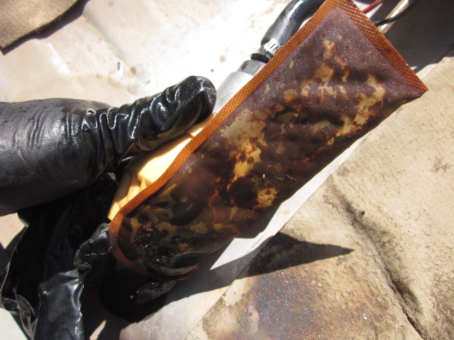 Seafoam for gas tank